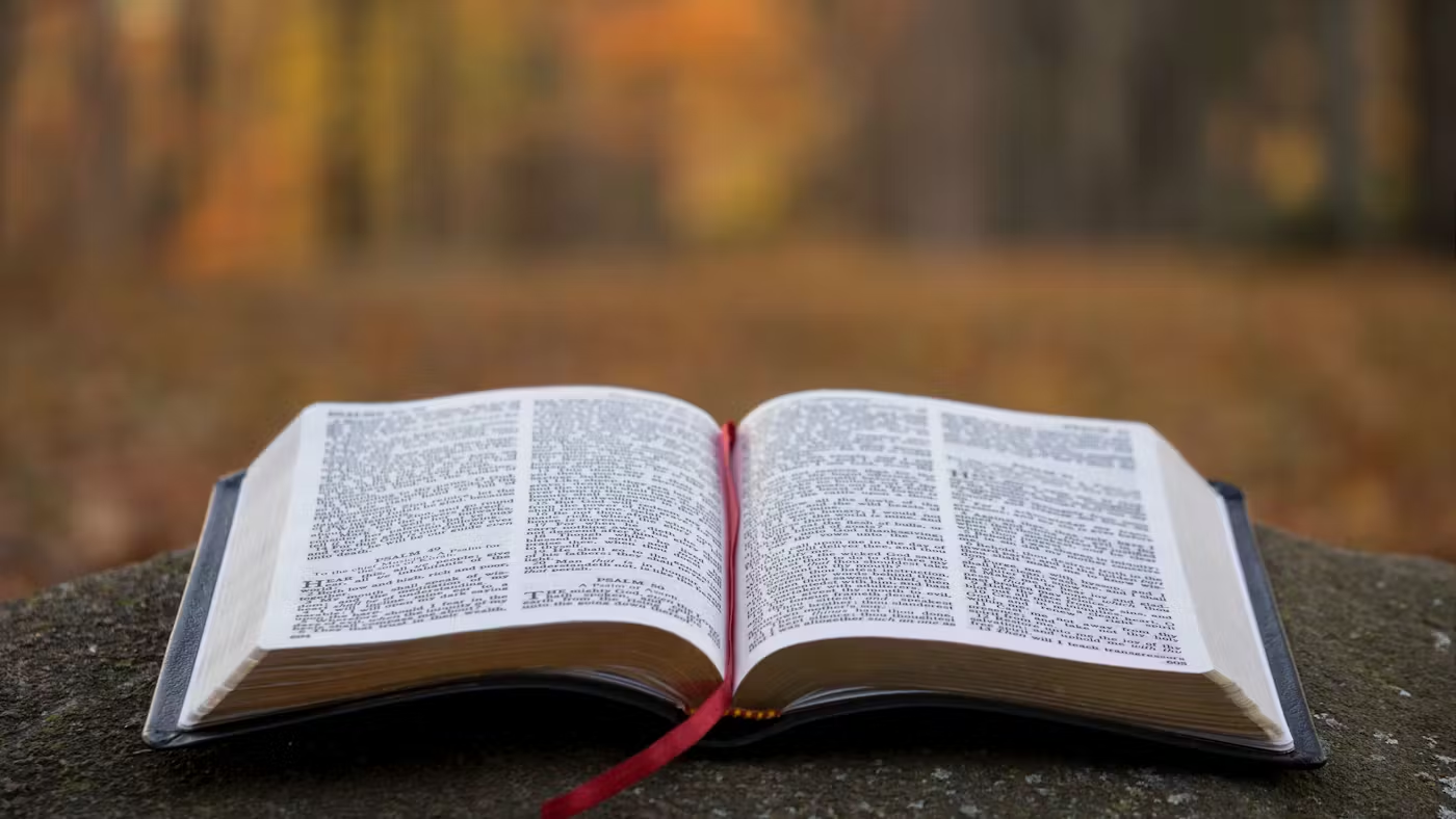Open Bible for Bible Study Course